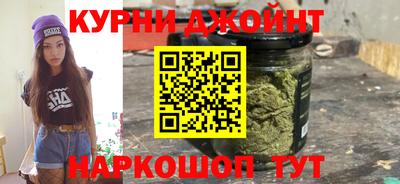 прущие грибы Канаш