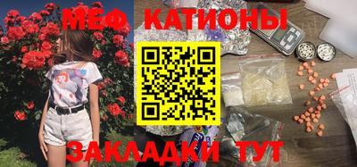 прущие грибы Канаш