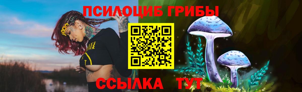 Галлюциногенные грибы мицелий Луховицы